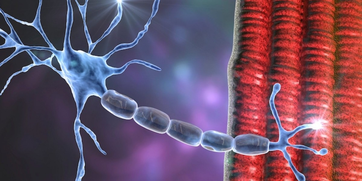 Amyotrophic Lateral Sclerosis (ALS) Market Report 2024: Epidemiology, Industry Trends, Size, Share and Forecast to 2034