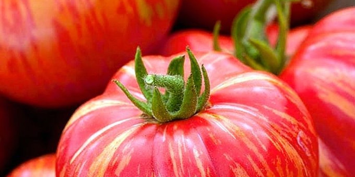 Europe Tomato Seeds Market to Grow at Highest Pace Owing to Increasing Demand For Organic Fruits and Vegetables