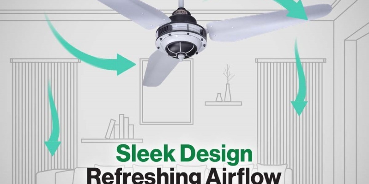 Ceiling Fan with 2 Blades: Efficiency, Style, and Cooling for Every Room