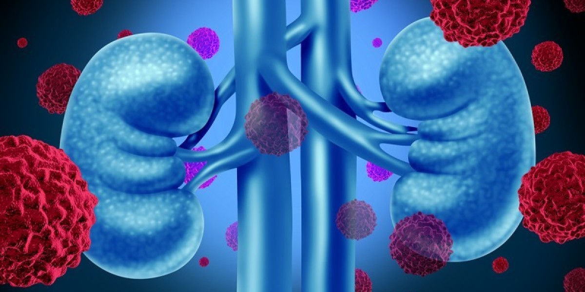 Nephrology Drugs Market Poised to Witness High Growth Due to Increasing Prevalence of Chronic Kidney Diseases