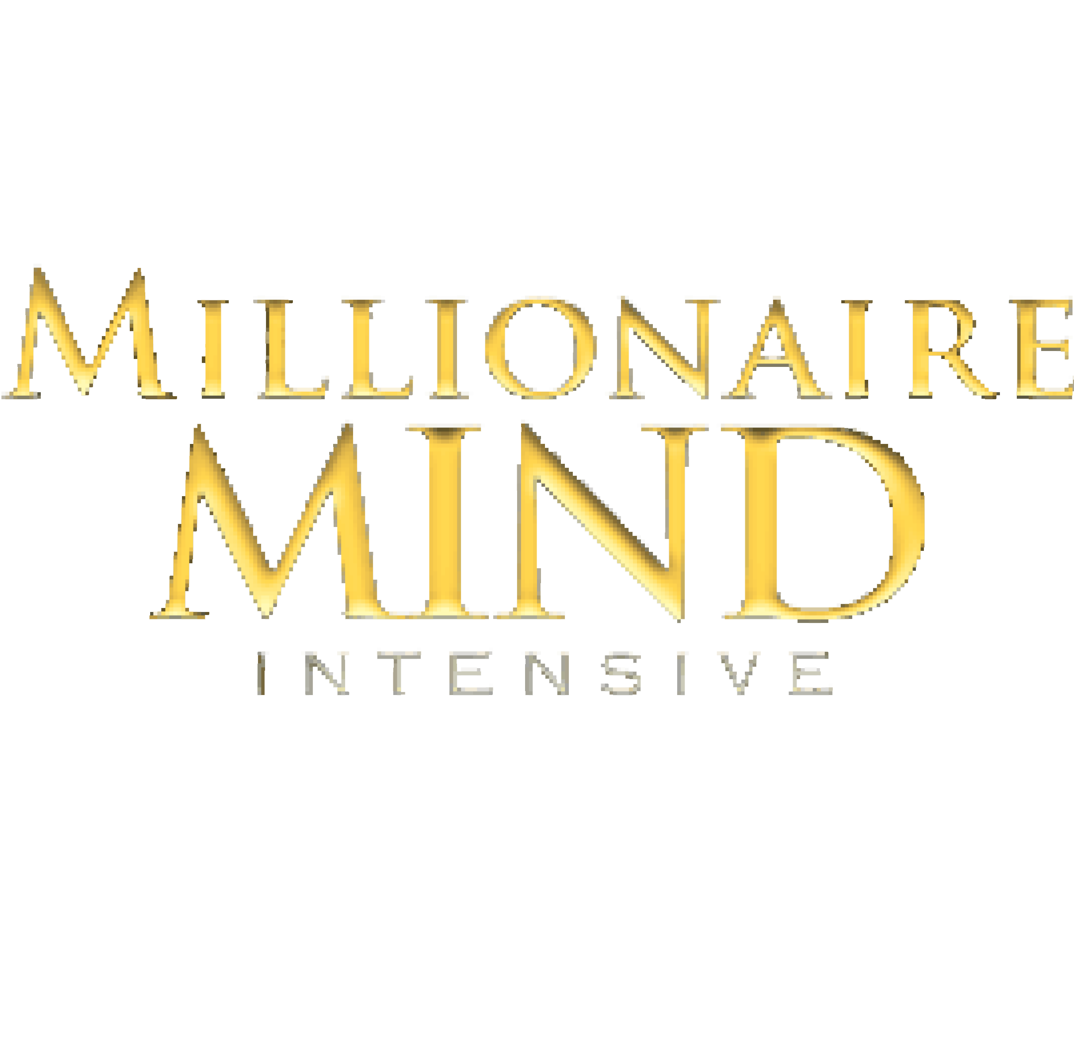 MMI Chennai - Millionaire Mind Intensive