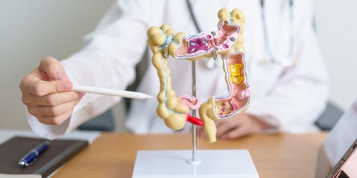 The Role of Immuno-Oncology in Colorectal Cancer Exploring PD-1, PD-L1, and CTLA-4 Inhibitors