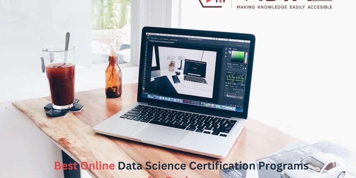 Affordable Online Data Science Certification Programs for Beginners