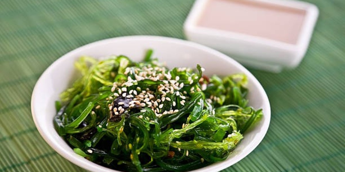 Seaweed Market Insights: Size, Share, Growth Factors, and Key Players