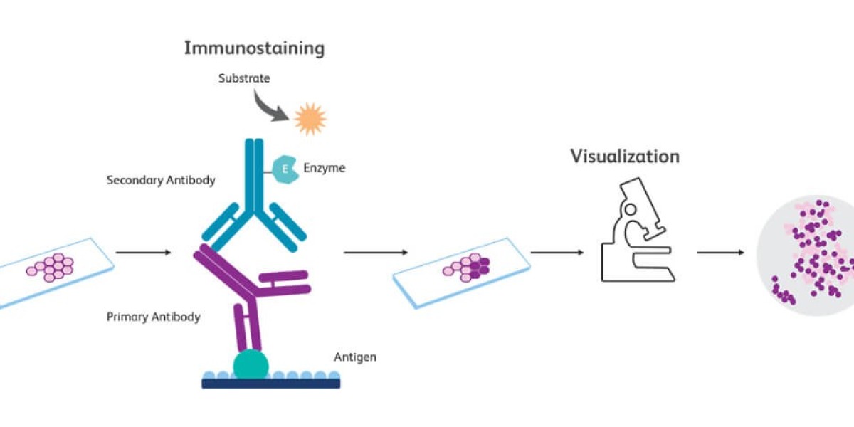 Immunohistochemistry Market Growth and Global Industry Status by 2034