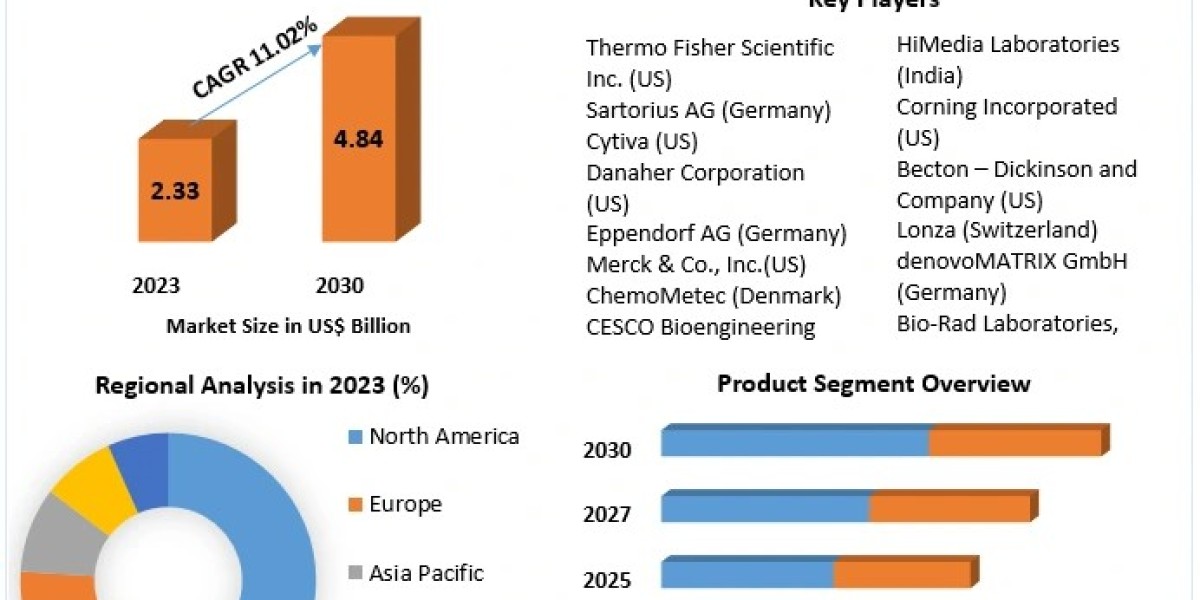 Microcarrier Market Metrics: Segmentation, Outlook, and Overview in Market Dynamics | 2024-2030