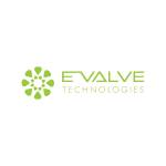 E Valve Technologies