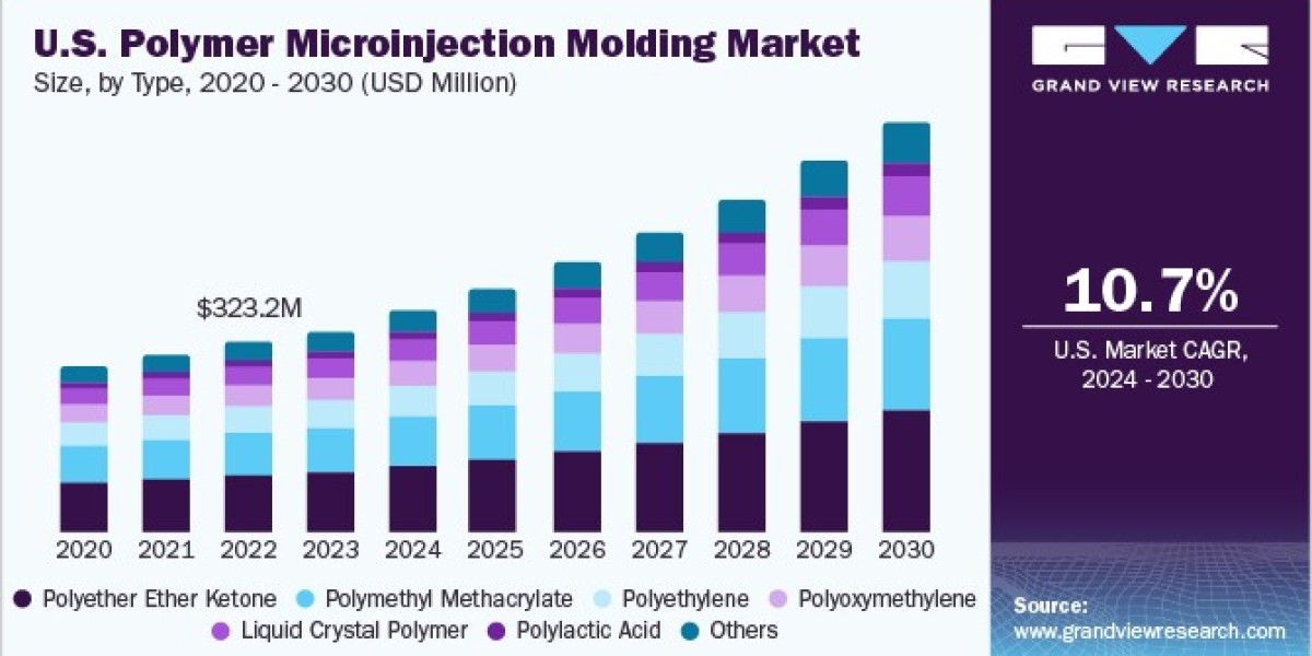 Polymer Microinjection Molding Market Growth Driven by Rising Demand for Precision Components