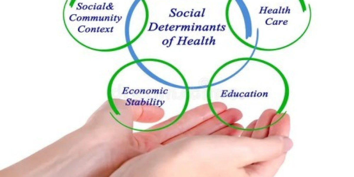 Social Determinants of Health Industry: Global Social Determinants Have Significant Impact on Public Health