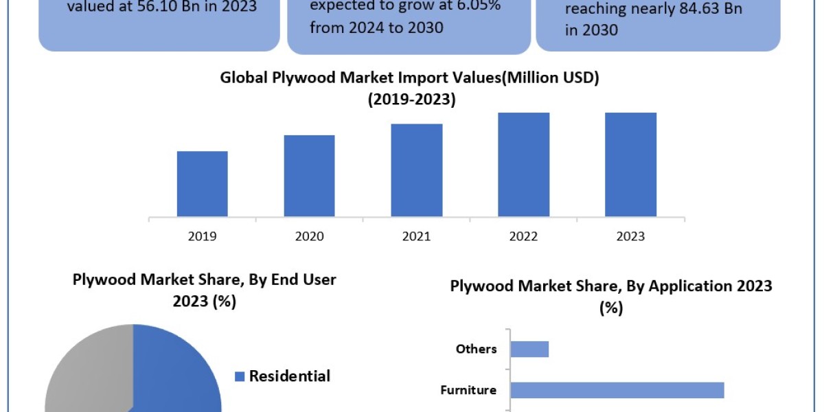 Plywood Market	Beyond the Numbers Game: Size, Share, Revenue, and Statistics Overview | 2024-2030