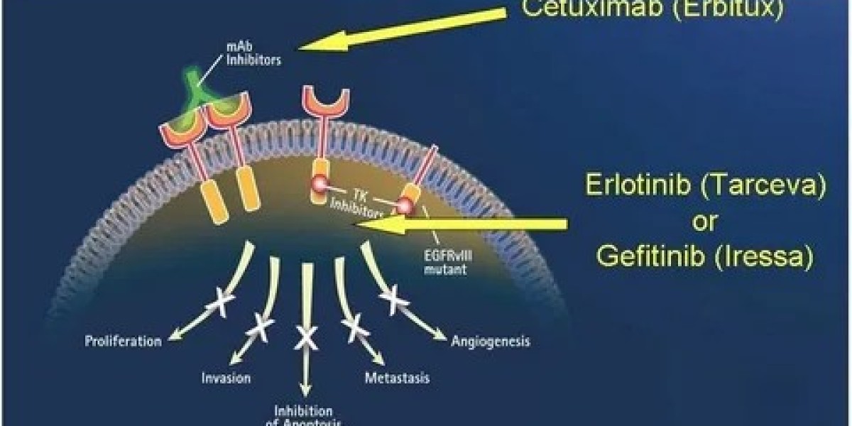 Pralsetinib Market Analysis, Trends, Development and Growth Opportunities by Forecast 2034