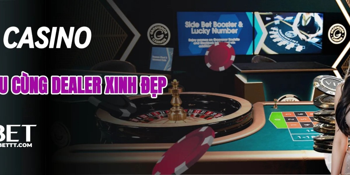 Why V9Bet Is Perfect for Beginners and Experts Alike