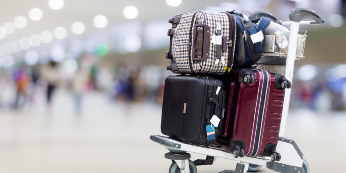 Luggage Delivery Service Market Propelled by Growing Global Tourism Industry