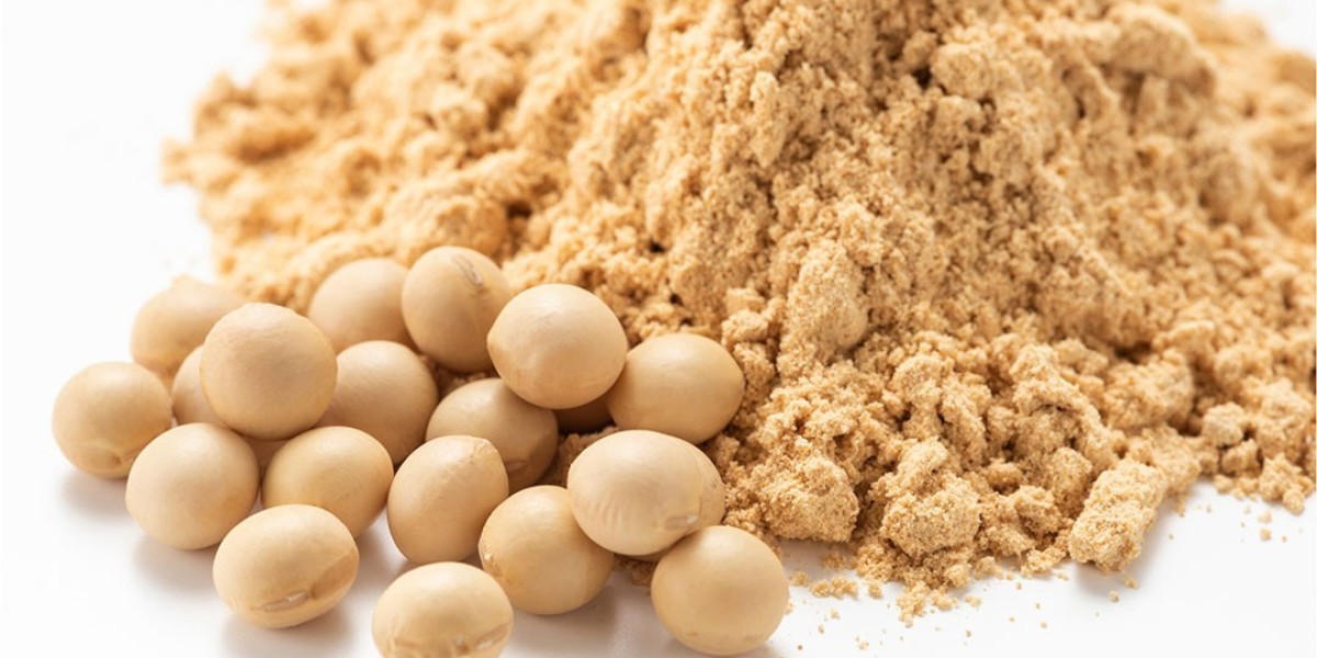 Soy Protein Market is Anticipated to Witness High Growth Owing to Rising Demand from Food and Beverage Industry