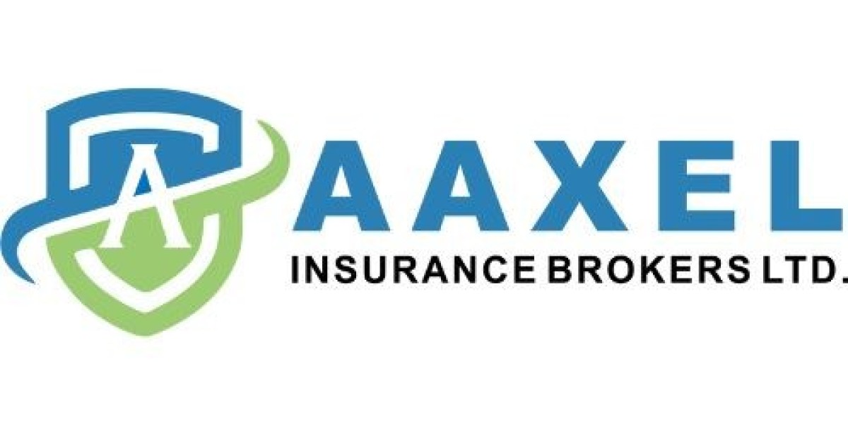 Aaxel Insurance: Comprehensive Auto, Home, and Business Insurance for All Your Needs