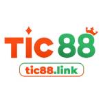 Tic88 link