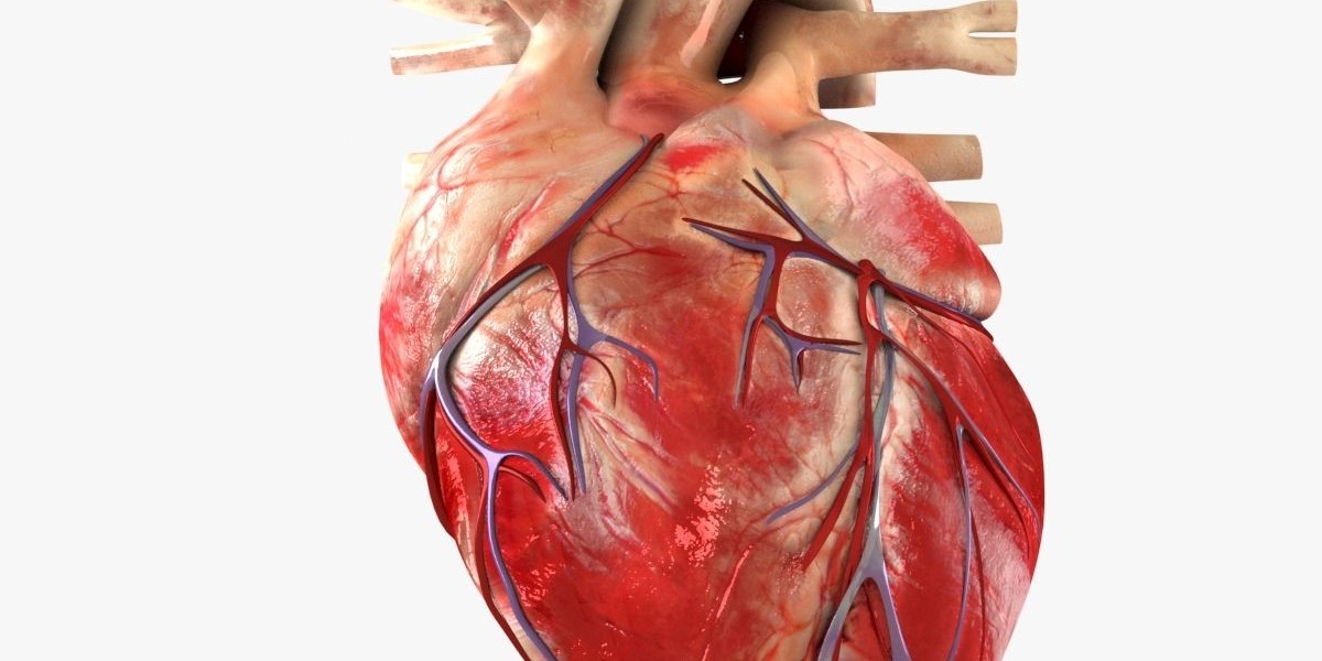 3D Cardiac Mapping System Market: Revolutionizing Heart Disease Diagnosis and Treatment