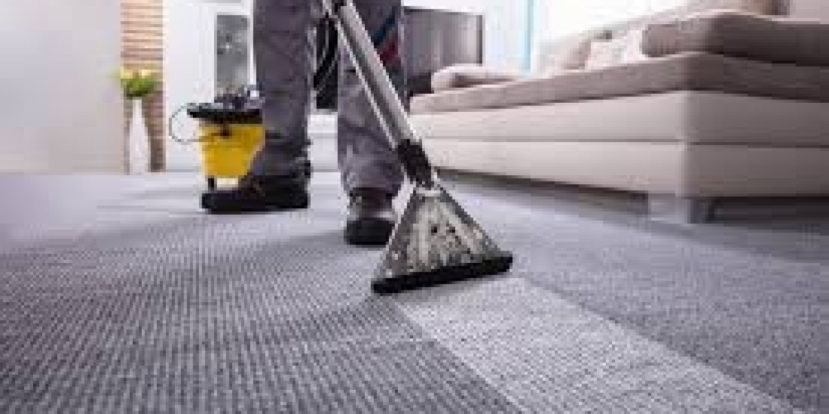 Carpet Cleaning: The Key to a Healthier, More Comfortable Home