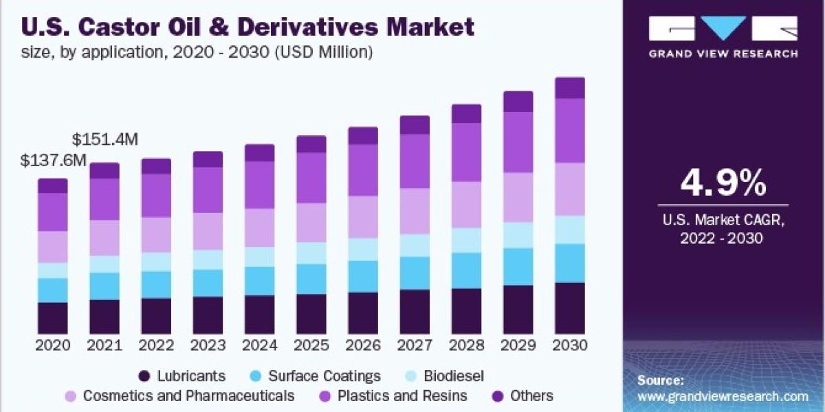 Castor Oil & Derivatives Market Analysis: Key Players Shaping the Industry Landscape