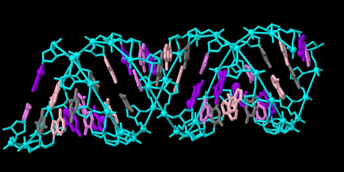 The Demand for cGAS-STING Pathway Inhibitors will Rise Due to Increasing Cancer Cases