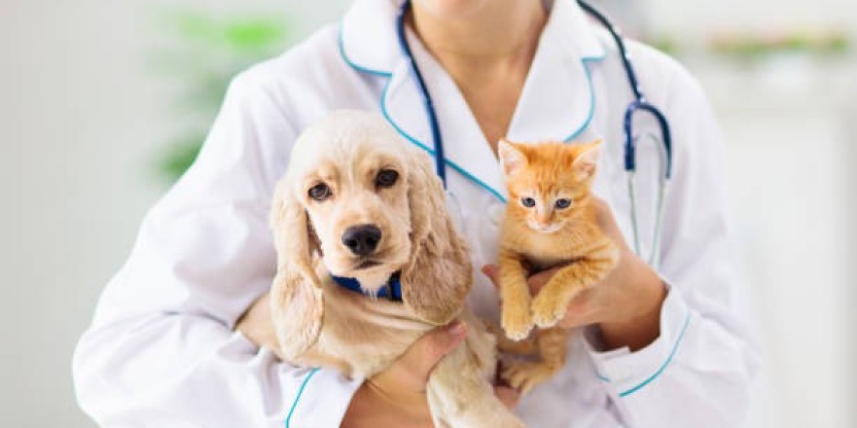 Comprehensive Pet Vaccination Services for Lifelong Wellness