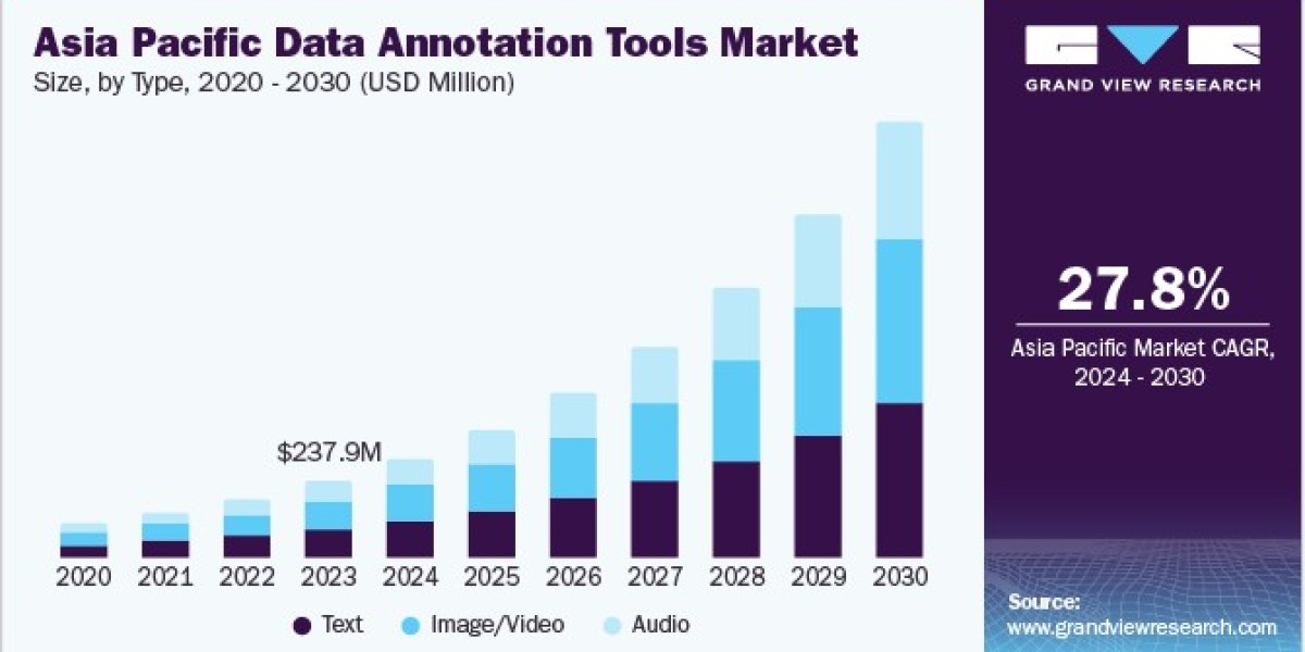 Data Annotation Tools Market Overview Highlights Key Trends and Future Directions