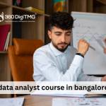 data analyst