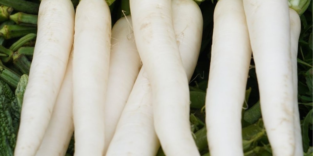 8 Essential Steps to Establish a Successful Radish Plant: Cost and Revenue