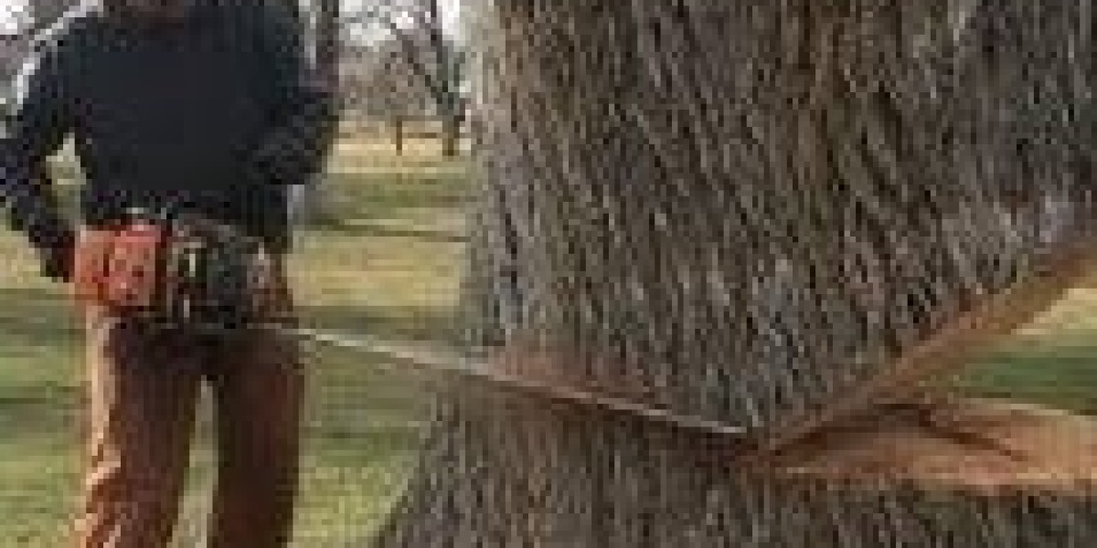 Expert Tips for Safe and Effective Tree Trimming