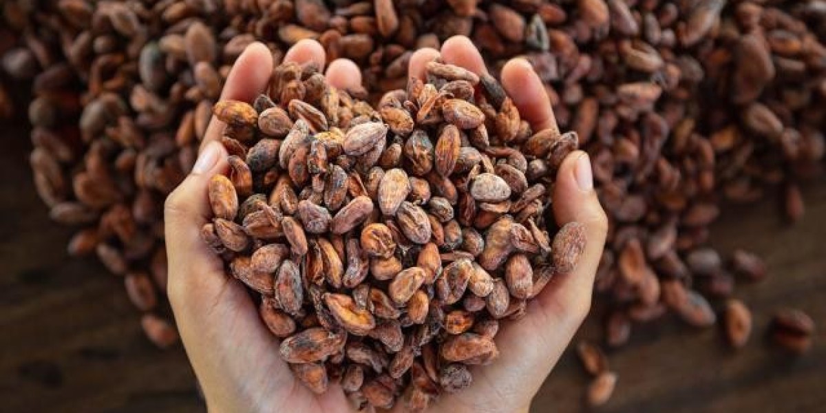 Cocoa Market Rises to Meet Growing Demand for Chocolate Thanks to Urbanization