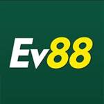 EV88 bike