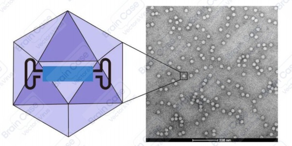 Lentivirus Vectors: An Overview