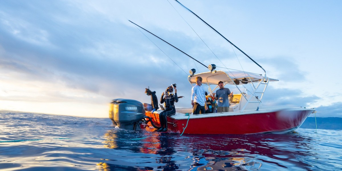 Sunset Cruises in Hawaii: Glide Across Tropical Waters