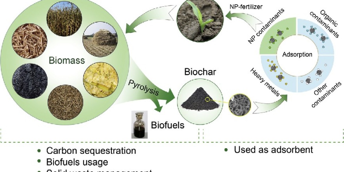 Biochar Market Latest Technological Developments Report by 2034