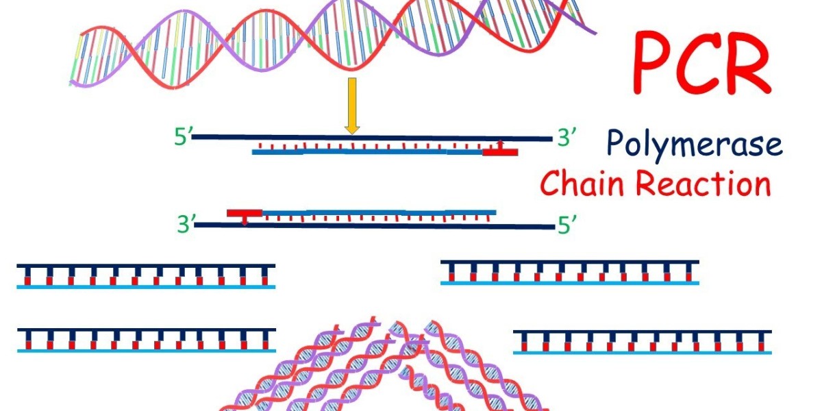 PCR Market Outlook: Strategic Opportunities for Stakeholders