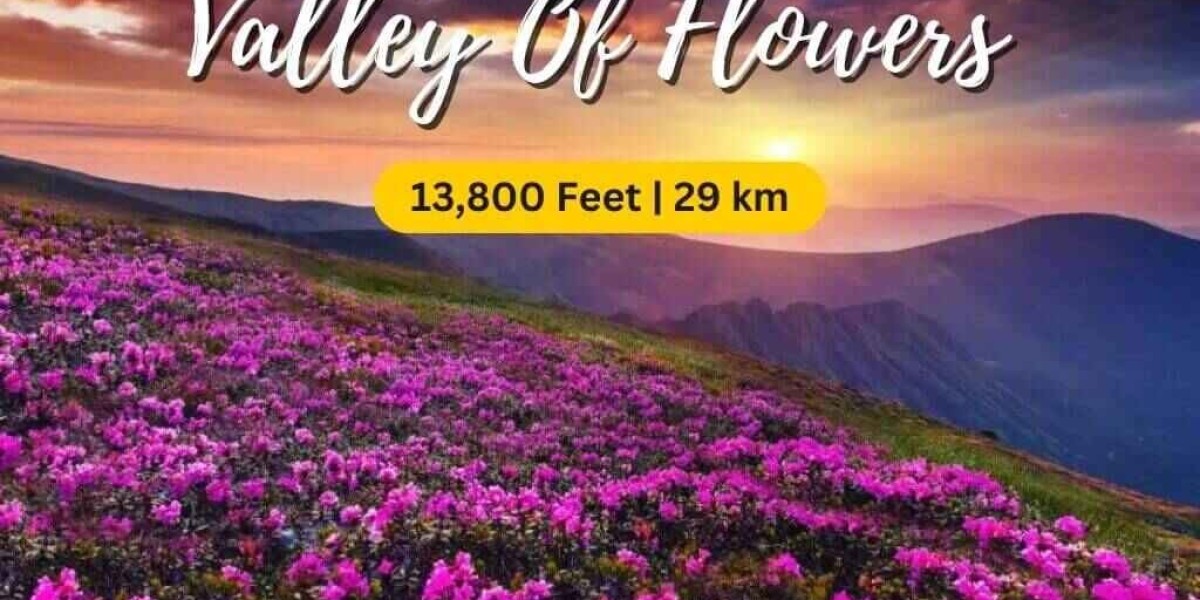 Valley of Flowers Trek: A Walk Through Nature’s Paradise