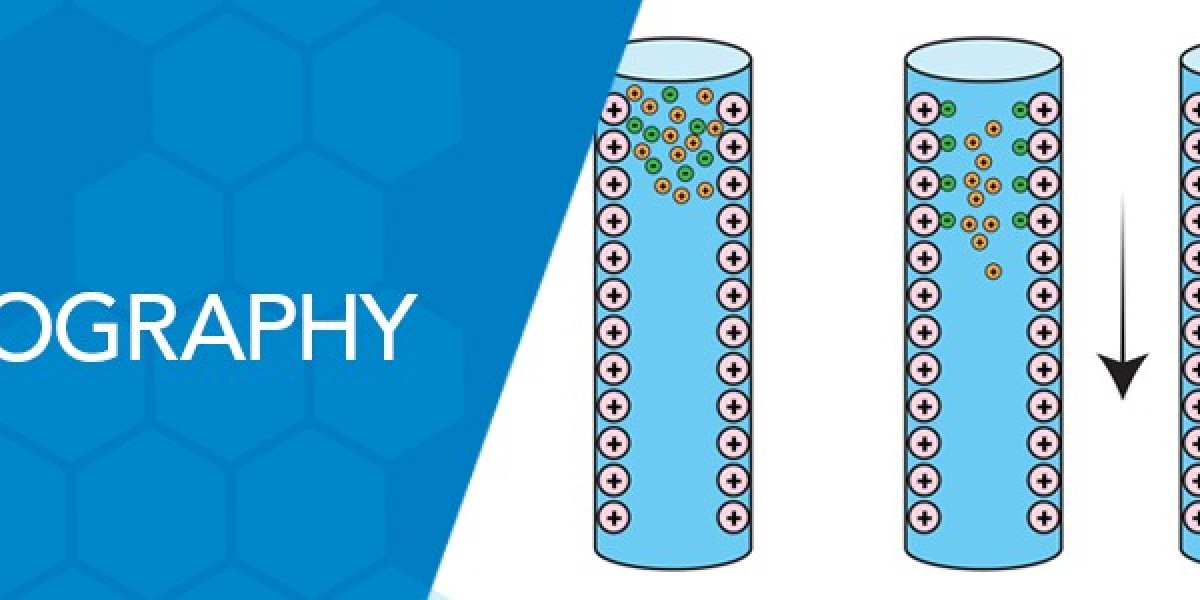 Ion Chromatography: The Backbone of Modern Analytical Testing