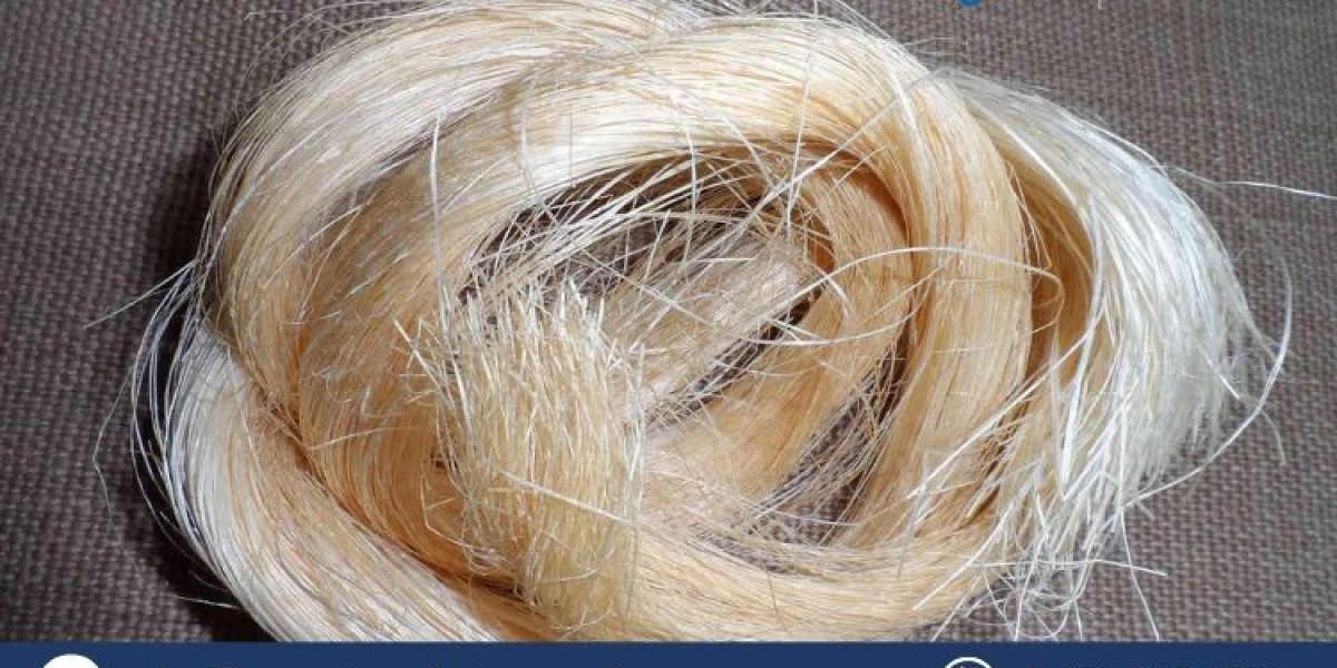 Abaca Fibre Market Size, Share, Trends, and Forecast (2025-2034)