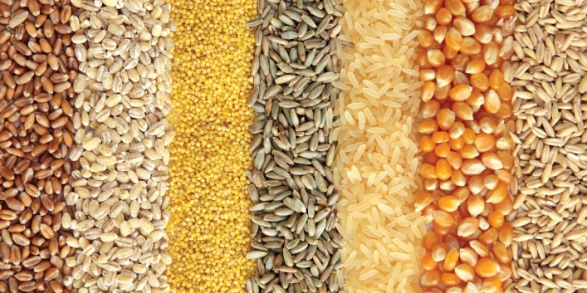 The Global Animal Feed Industry: Trends, Challenges and Outlook