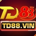 TD88 vin