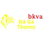 Đá Gà Trực Tiếp Thomo