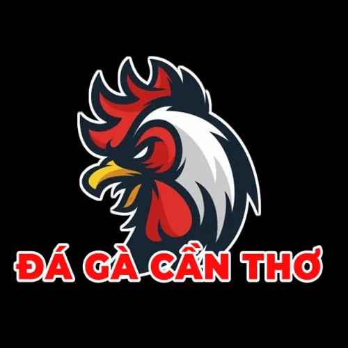 Đá Gà Cần Thơ đá Gà Online