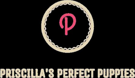 Priscillas Perfect Puppies