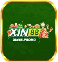 xin88promo