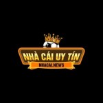 Nhà Cái News