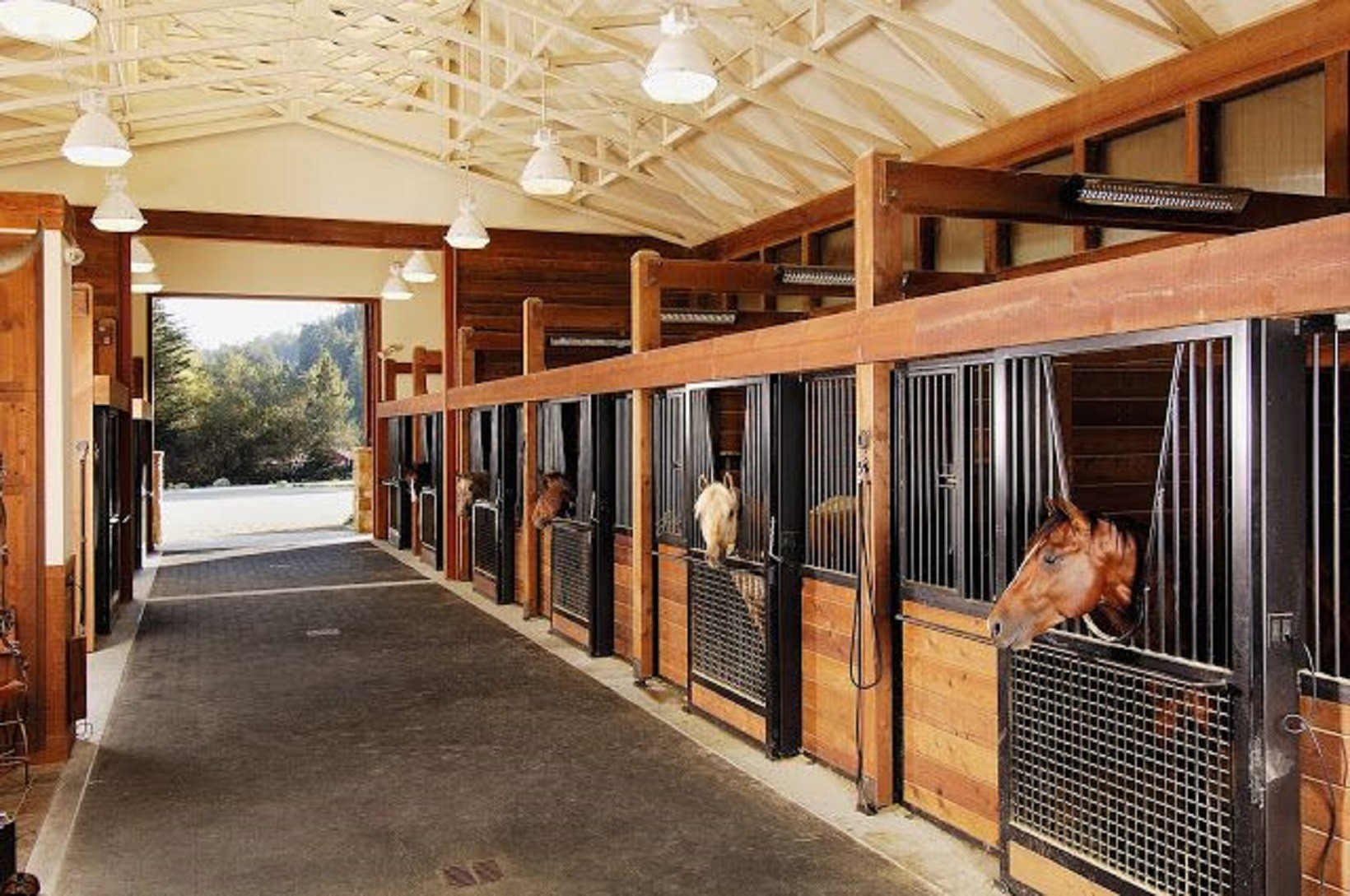 Rustic Ranchhorses