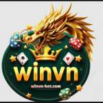 Winvn Nhà cái