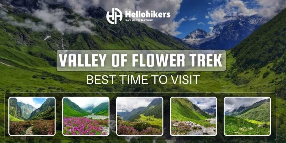 Valley of Flowers Package 2025