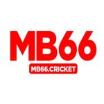 MB66