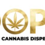 Dophethc 12